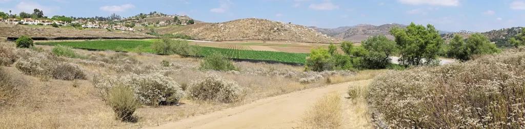 Field leased for agriculture, San Pasqual Valley Agricultural Preserve, Escondido, California