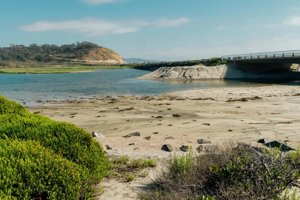 Summer beach scene on the San Diego coast