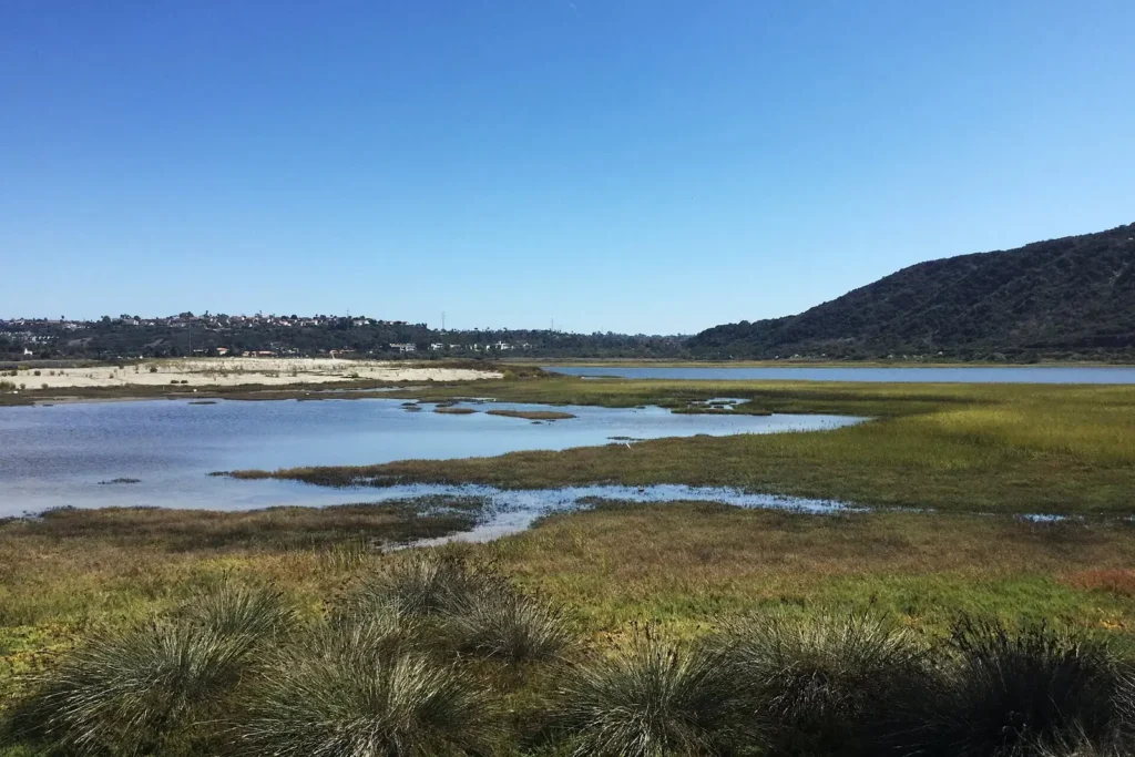 Eastern side of Batiquitos Lagoon in Encinitas, San Diego County