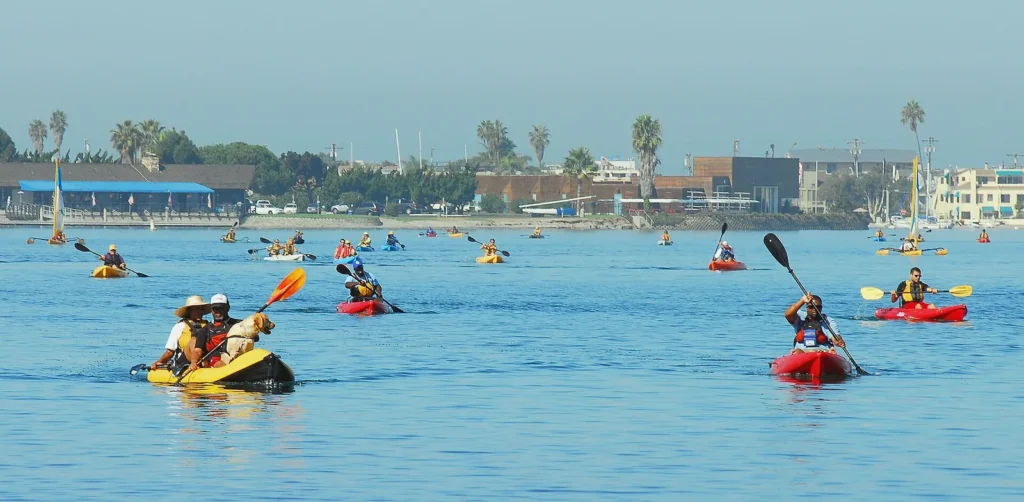 Kayakers paddling in Mission Bay