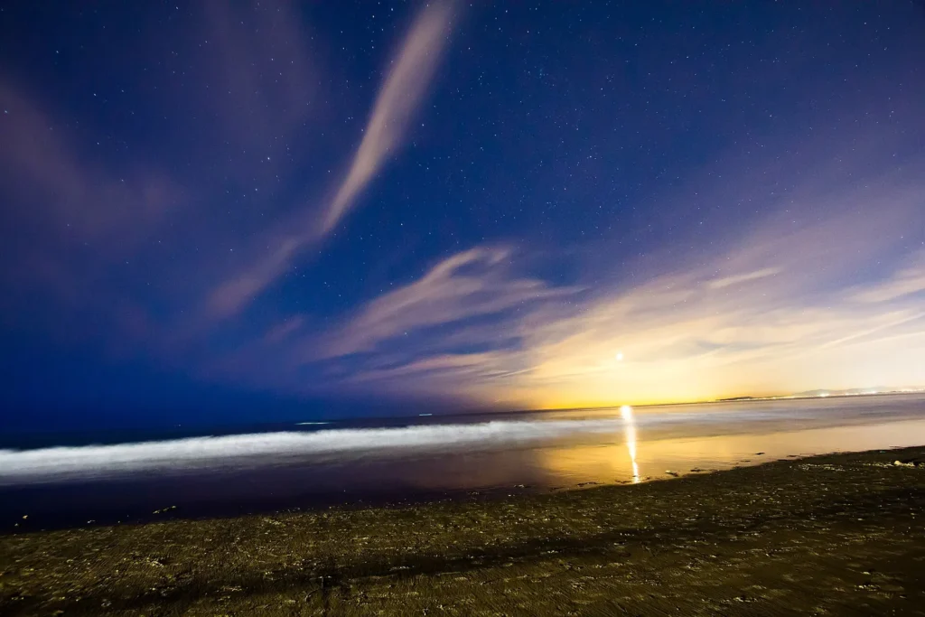 La Jolla Coast