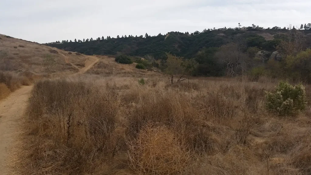 Almost midway from the west within the Los Penasquitos Canyon Preserve, Peñasquitos Canyon