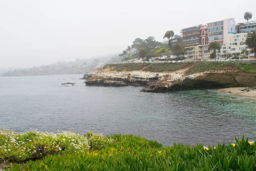 Rocky shore at La Jolla Cove