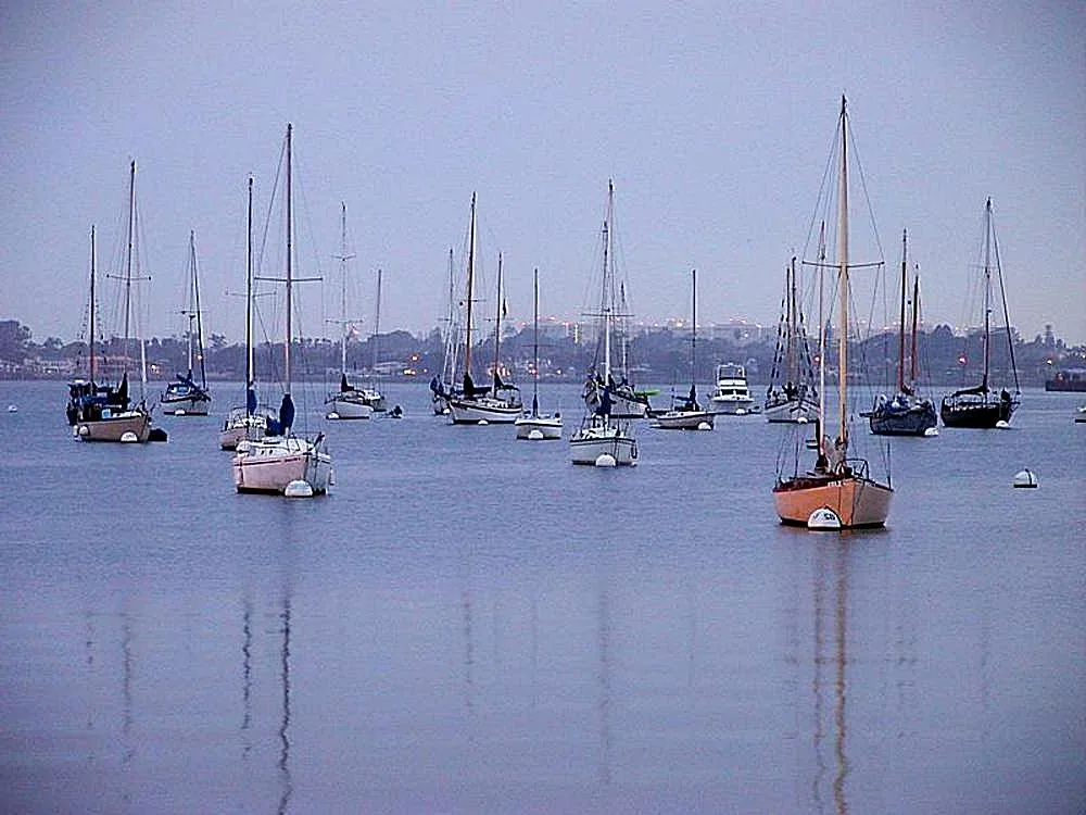 Sailboats on San Diego Bay