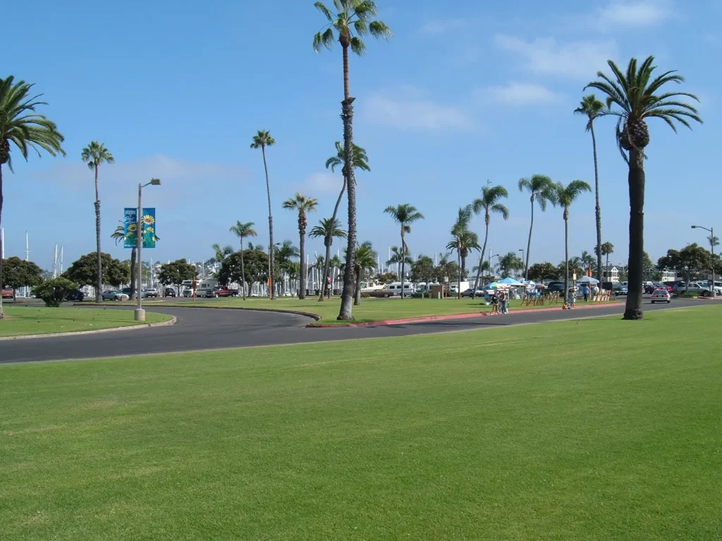 San Diego Restaurants With a View: palm-lined lawn on Shelter Island