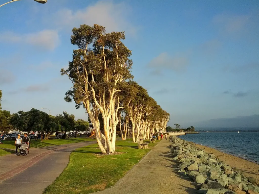 Chula Vista Bayfront Park, California, South Bay