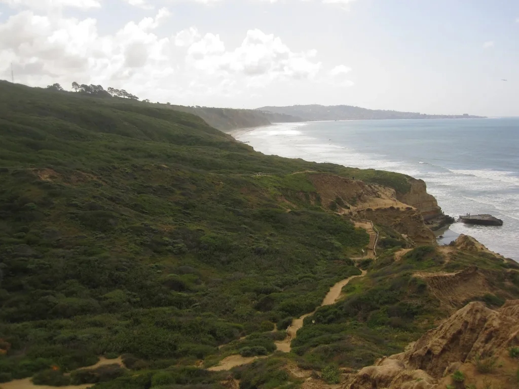 A coastal trail along the bluffs at Torrey Pines State Natural Reserve