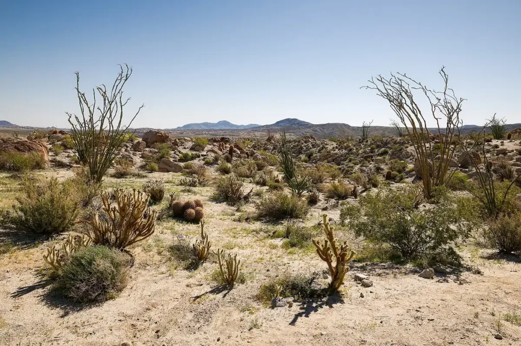 Anza-Borrego Desert State Park, California